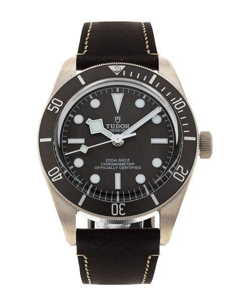Tudor Black Bay 58 M79010SG-0001